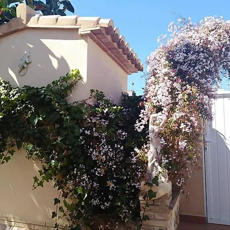 Adelfas Кальпе